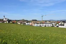 Eck-Reihenhaus C6