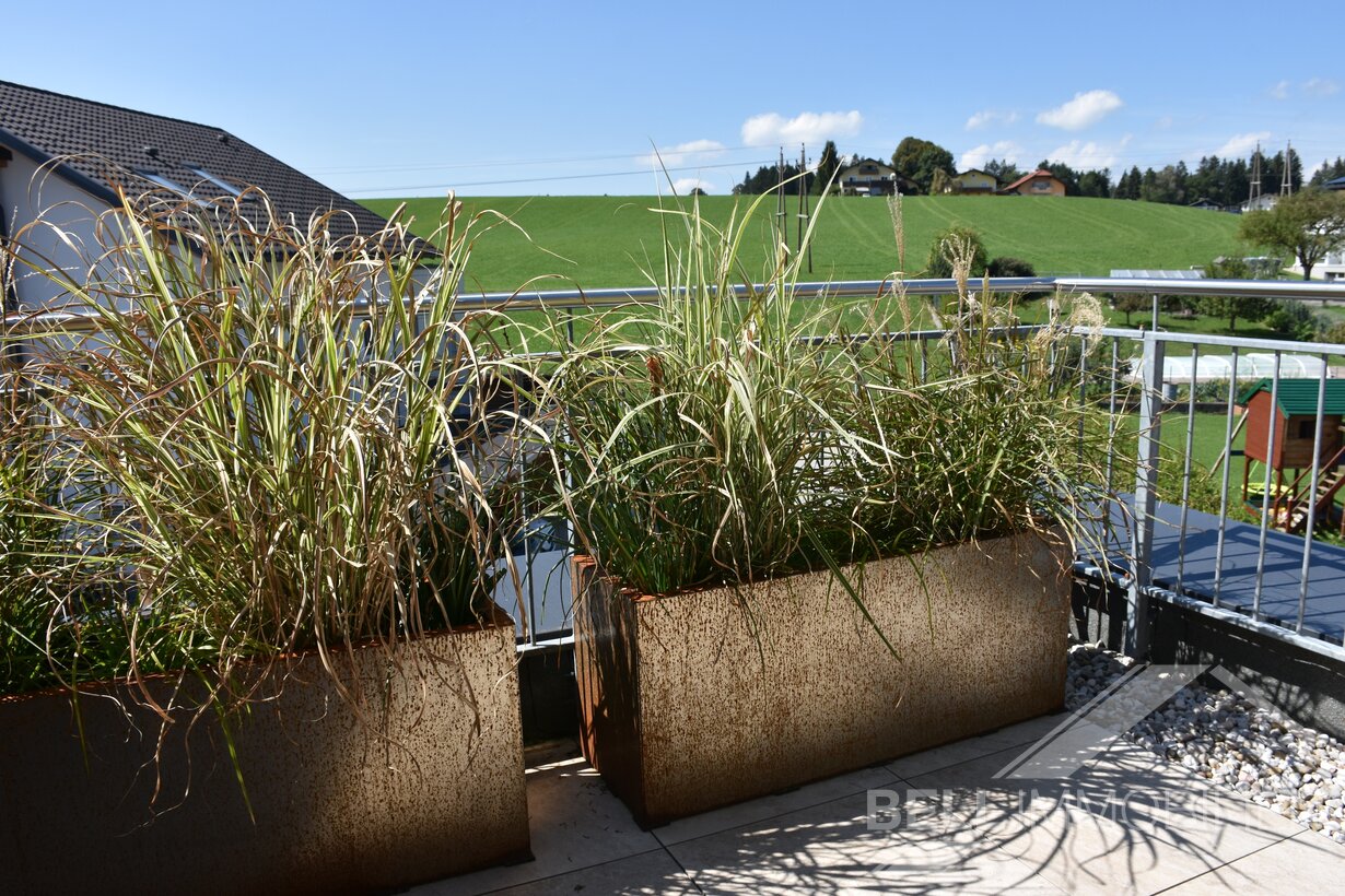 Ausblick Dachterrasse