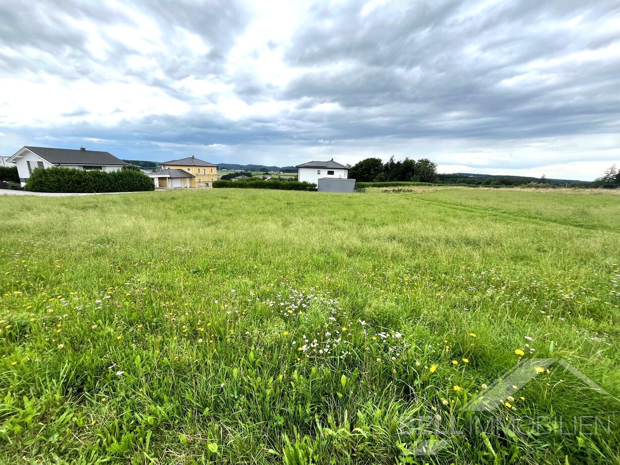 Einfamilienhäuser Neubau in Massivbauweise