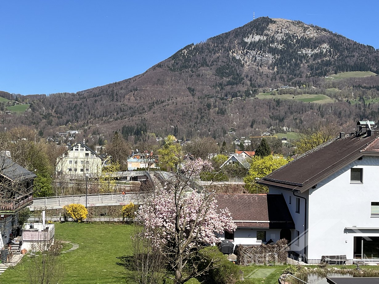 Gaisbergblick und der Überfuhrsteg über die Salzach