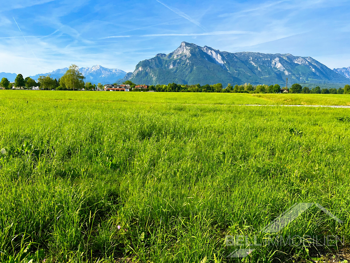 Ausblick vom Grundstück in Richtung Süden