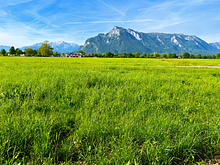 Ausblick vom Grundstück in Richtung Süden