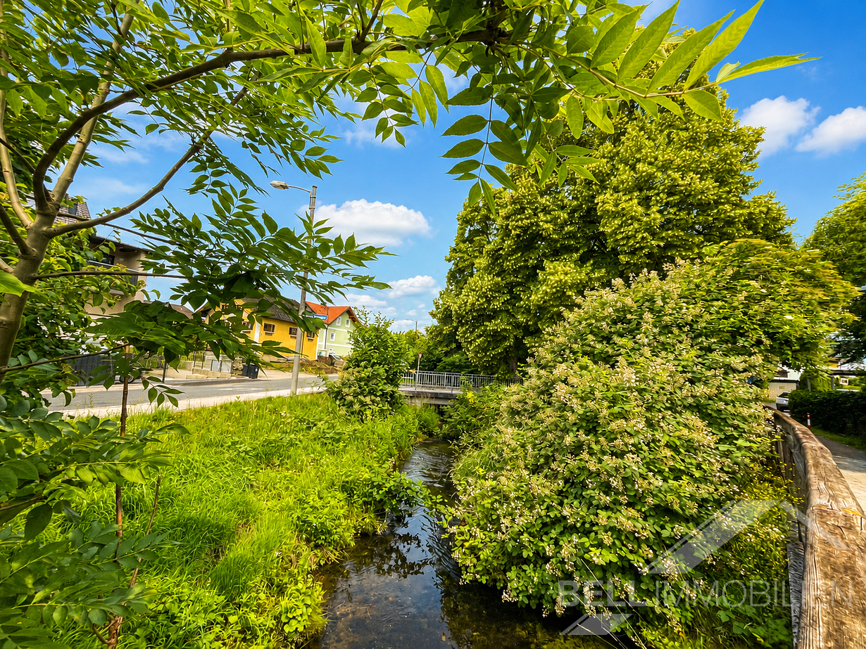 Umgebung mit Mühlbach