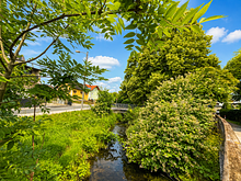 Umgebung mit Mühlbach