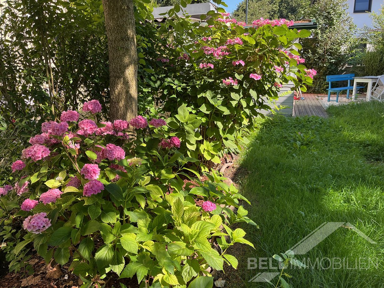 Wunderschöner Garten