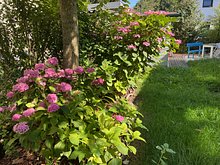 Wunderschöner Garten