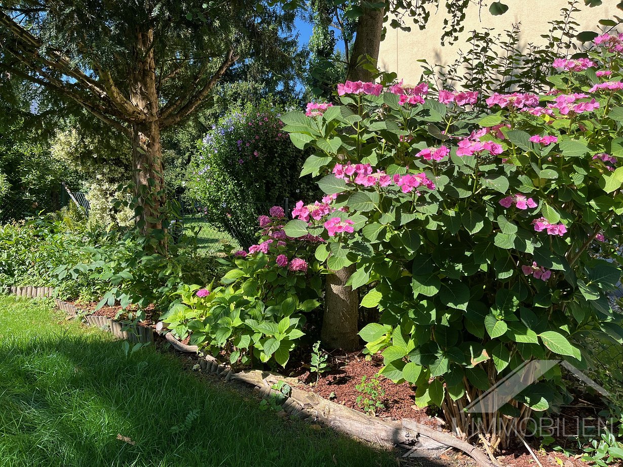 Wunderschöner Garten