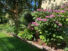 Wunderschöner Garten
