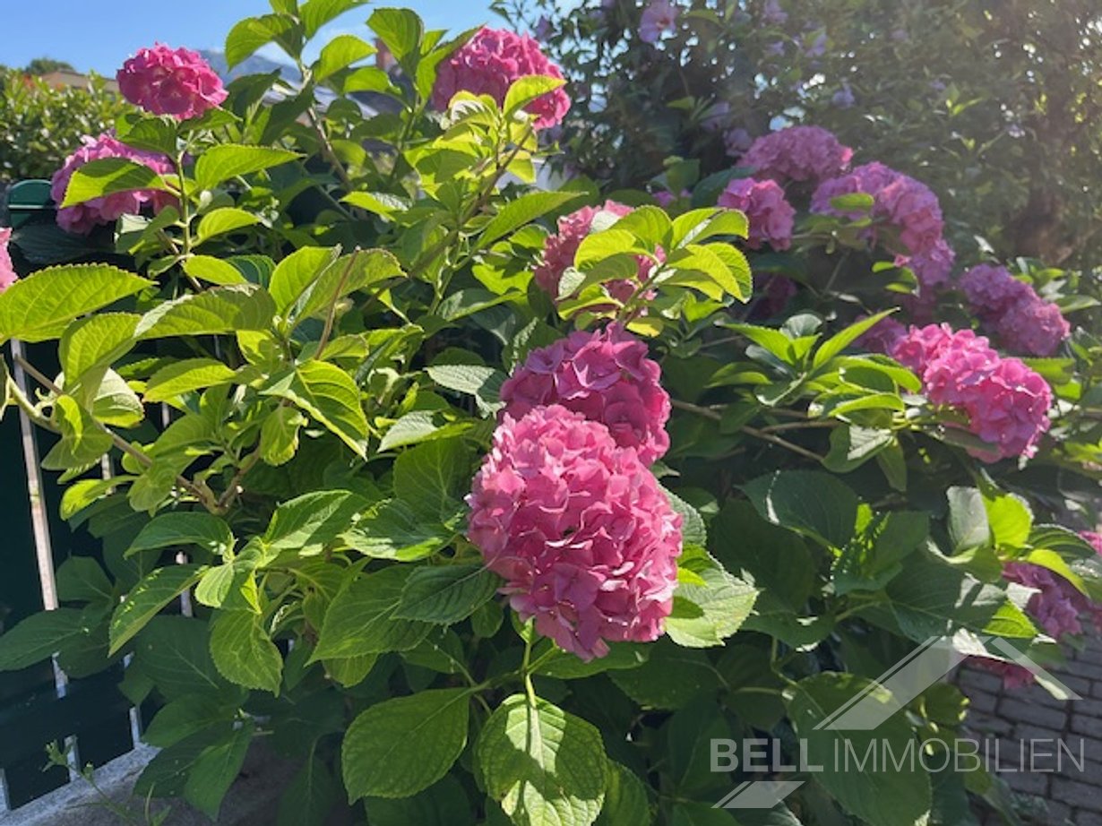 Wunderschöner Garten