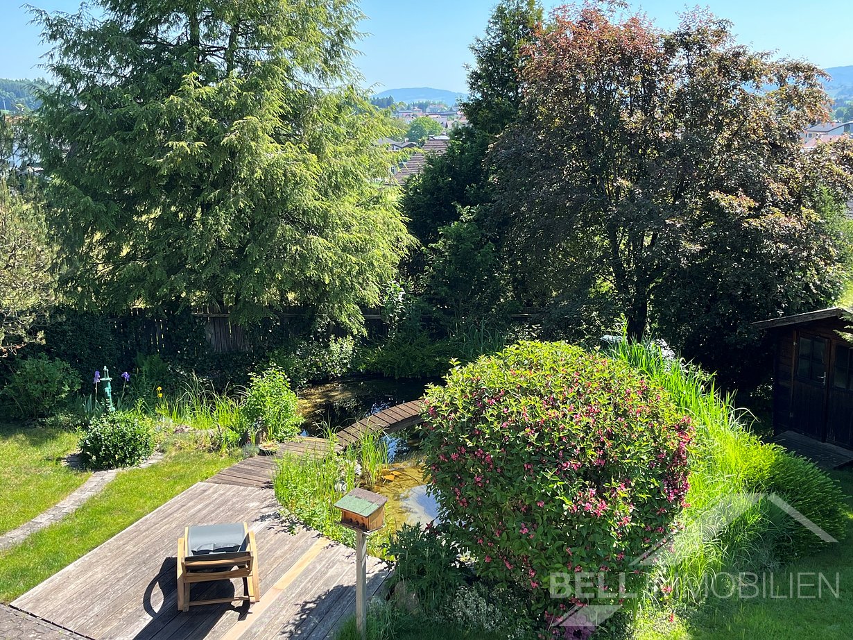 Blick in den Garten