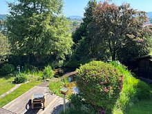 Blick in den Garten